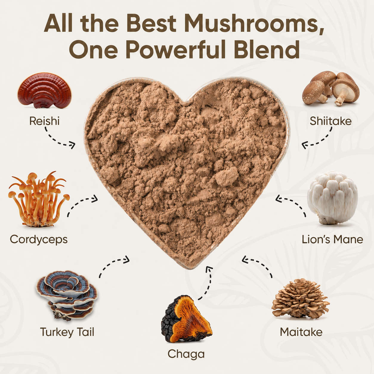 Suppello Mushroom Complex+ Powder infographic showing a heart-shaped mushroom powder blend surrounded by Reishi, Cordyceps, Turkey Tail, Chaga, Maitake, Lion’s Mane, and Shiitake mushrooms.